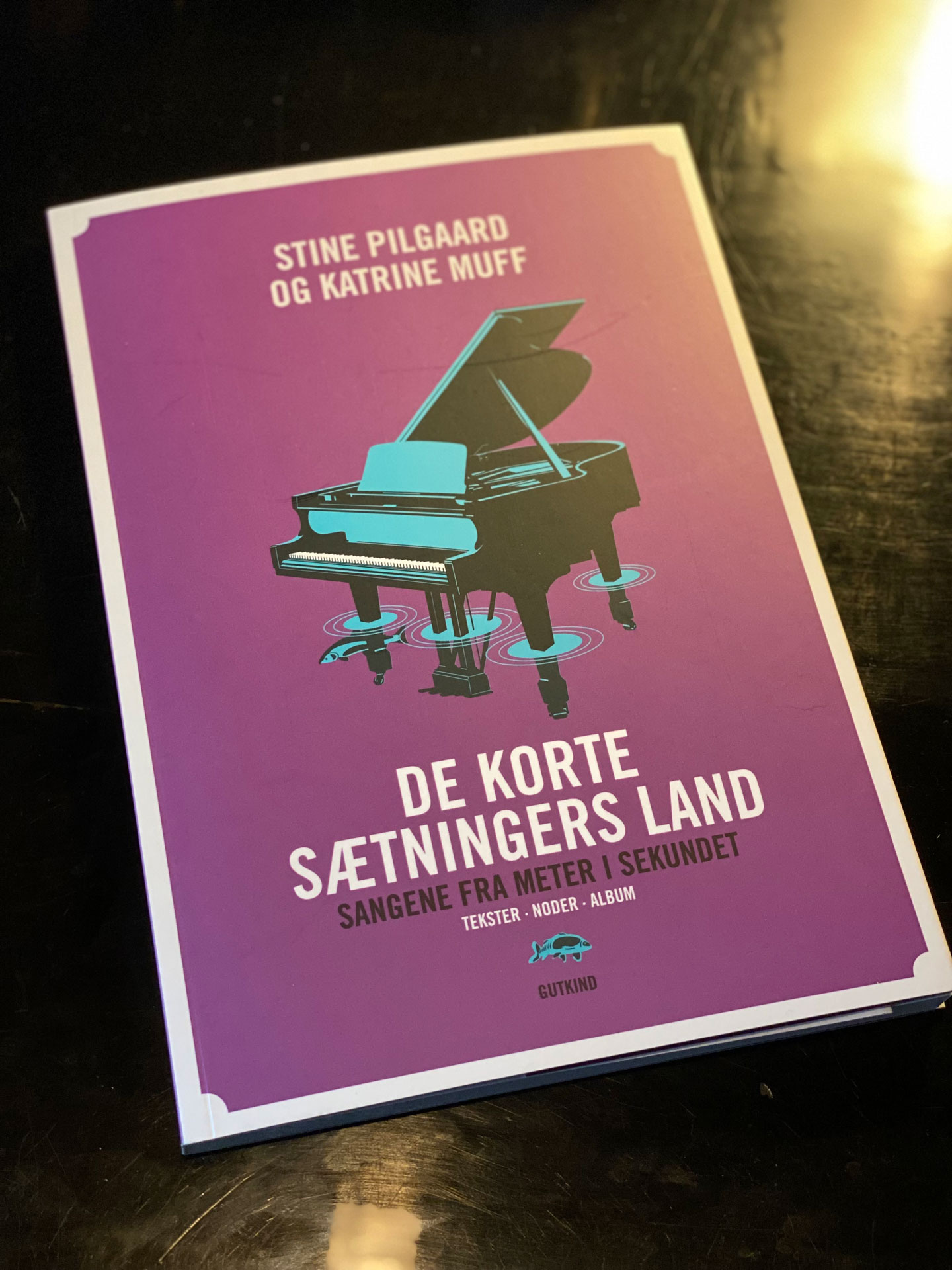 DE KORTE SÆTNINGERS LAND
